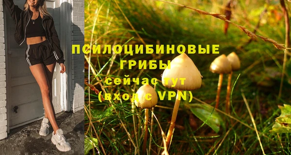метадон Алексин