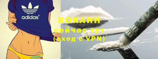 метадон Алексин