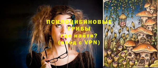 метадон Алексин