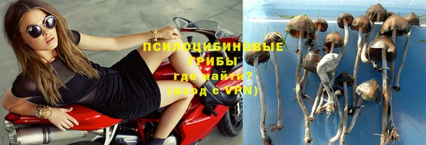 трава Алексеевка