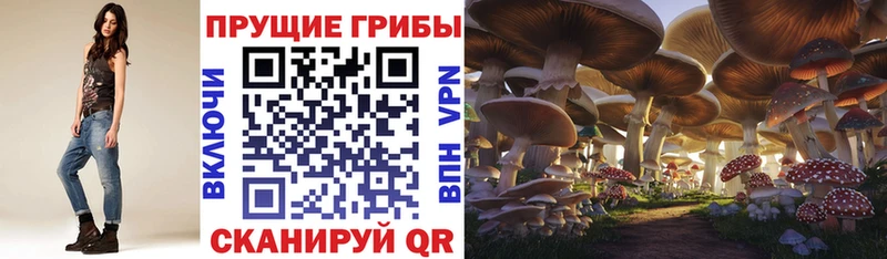 Псилоцибиновые грибы Magic Shrooms Железногорск-Илимский
